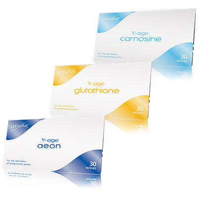 Yエイジ システムキット