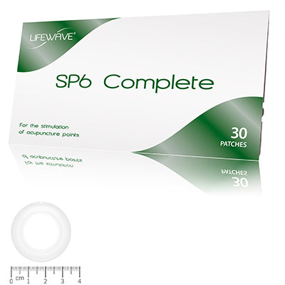 SP6 コンプリート